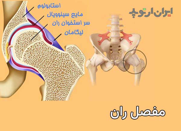 مفصل ران و مایع سینوویال