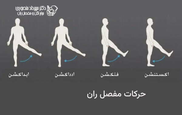 آناتومی لگن و مفصل ران، تفاوت آناتومی لگن زن و لگن مرد 53 عکس آناتومی لگن. حرکات مفصل ران در جهات اکستنشن و فلکشن و ادداکشن و ابداکشن