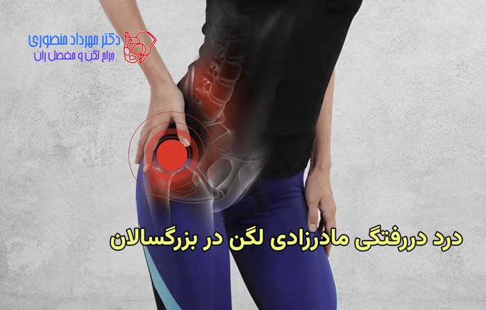pain hip dysplasia adults 1