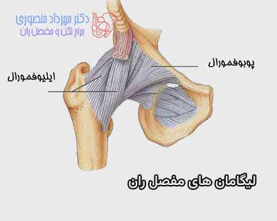 آناتومی لگن و مفصل ران، تفاوت آناتومی لگن زن و لگن مرد 38 لیگامان های خارج کپسولی مفصل ران