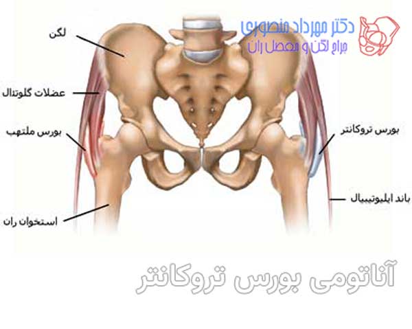 انواع بورسیت لگن و علائم و درمان هر کدام 6 آناتومی بورس تروکانتر